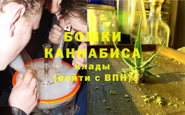 шишки Пестово