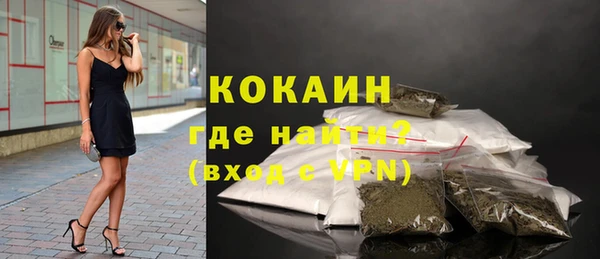 шишки Пестово