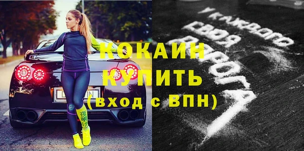 шишки Пестово