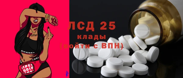 шишки Пестово