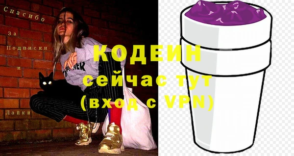 шишки Пестово