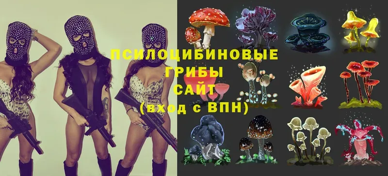 Галлюциногенные грибы MAGIC MUSHROOMS  Красный Кут 